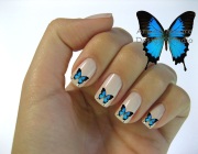 Дизайн ногтей бабочки