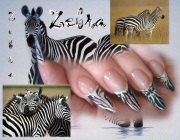 Рисунок зебры на ногтях